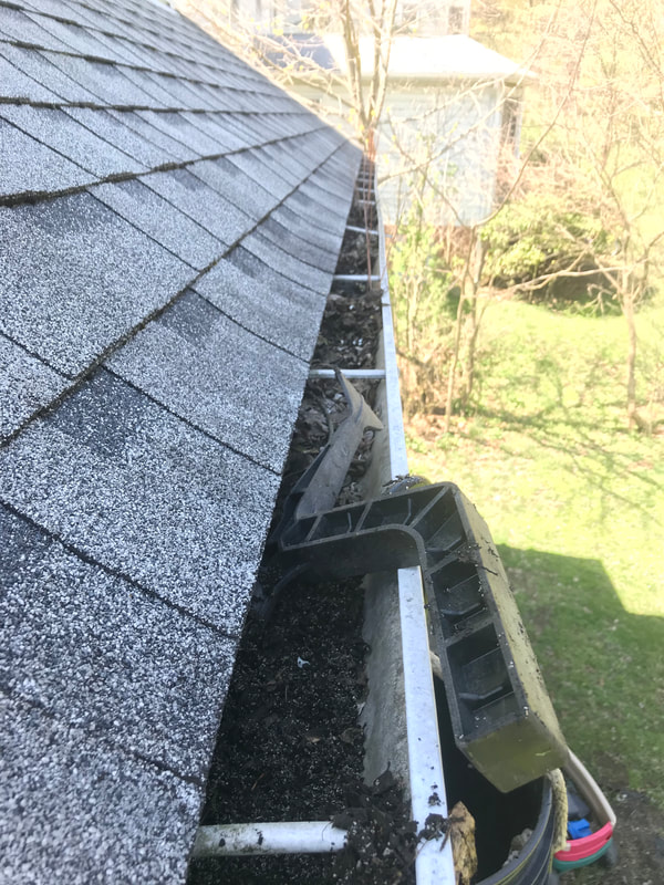Gutter and Window Cleaning